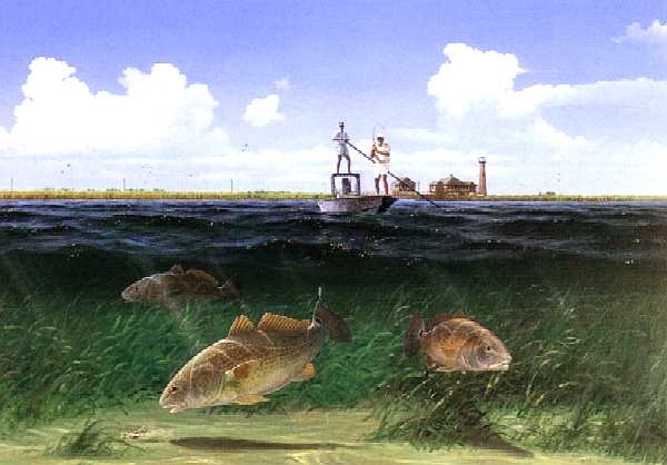 John Dearman Prints from Charlie's Gallery John Dearman from Charlie