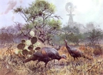 John Cowan - 1985 Texas Wild Turkey Stamp and Print