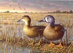 Texas Stamp Prints - 1993 Blue-Winged Teal by Jim Hautman