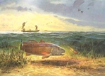 Texas Saltwater Stamp Prints - 1986 Redfish by John Cowan