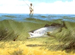 Texas Freshwater Fish Stamp Prints - 1995 Speckled Trout by John Dearman